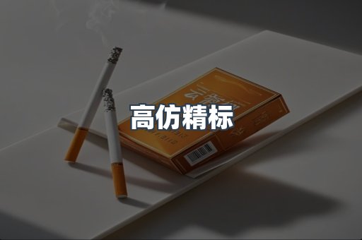高仿精标